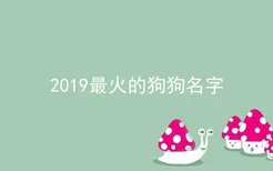 2019最火的狗狗名字