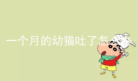 一个月的幼猫吐了怎么办