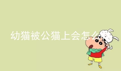 幼猫被公猫上会怎么样