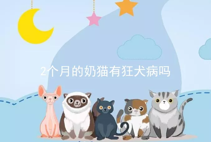 2个月的奶猫有狂犬病吗