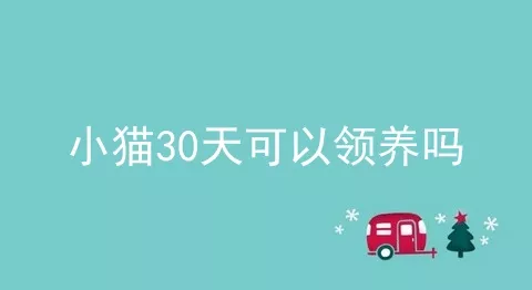 小猫30天可以领养吗