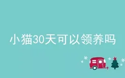 小猫30天可以领养吗