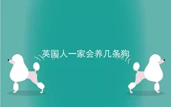 英国人一家会养几条狗