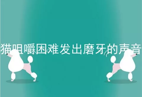 猫咀嚼困难发出磨牙的声音