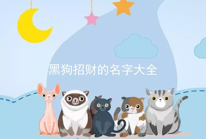 黑狗招财的名字大全