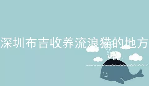 深圳布吉收养流浪猫的地方