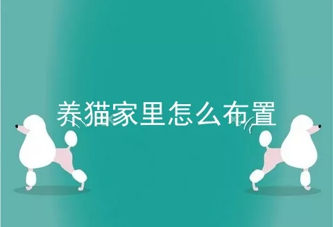 养猫家里怎么布置