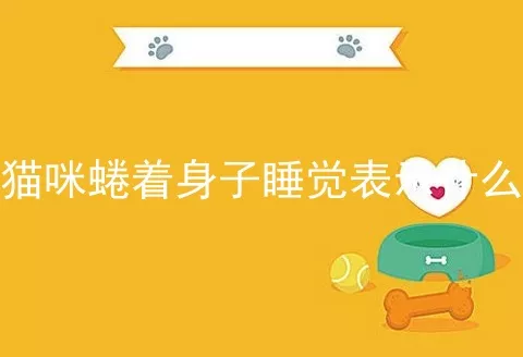 猫咪蜷着身子睡觉表示什么