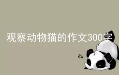 观察动物猫的作文300字