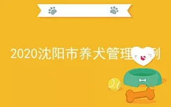 2020沈阳市养犬管理条例