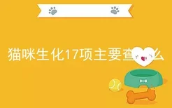 猫咪生化17项主要查什么