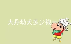 大丹幼犬多少钱一只