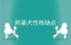 柯基犬性格缺点