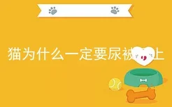 猫为什么一定要尿被子上