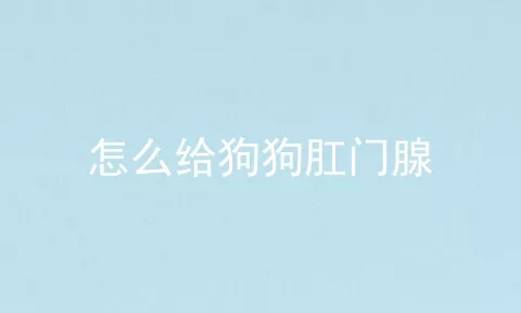 怎么给狗狗肛门腺