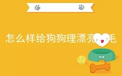 怎么样给狗狗理漂亮的毛