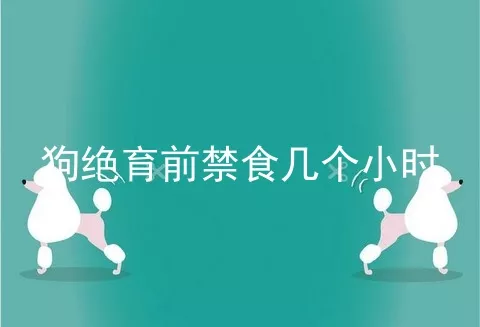 狗绝育前禁食几个小时