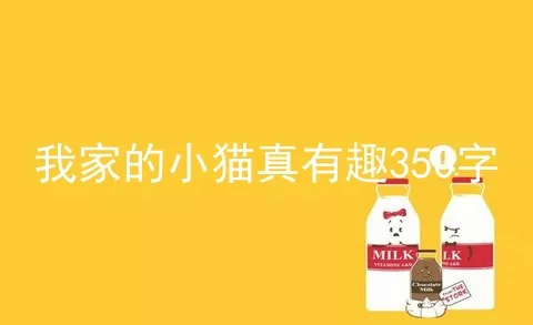 我家的小猫真有趣350字