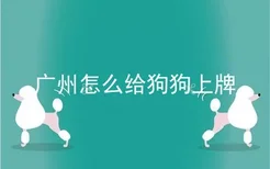 广州怎么给狗狗上牌