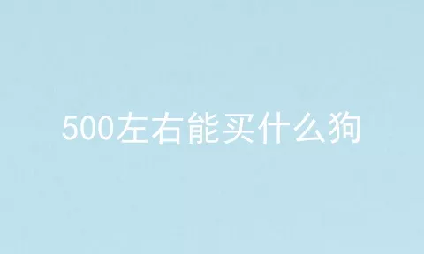 500左右能买什么狗