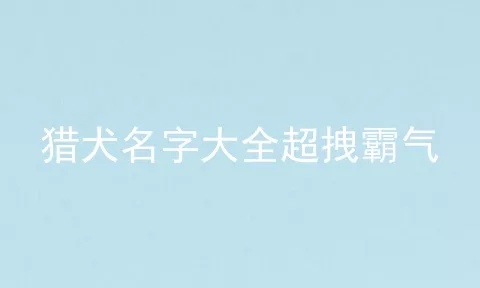 猎犬名字大全超拽霸气