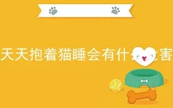 天天抱着猫睡会有什么危害