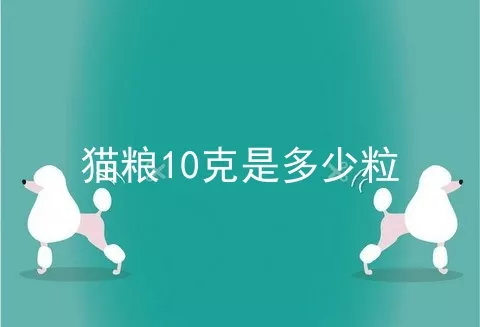 猫粮10克是多少粒