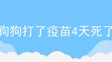 狗狗打了疫苗4天死了