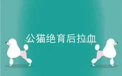 公猫绝育后拉血