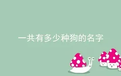 一共有多少种狗的名字