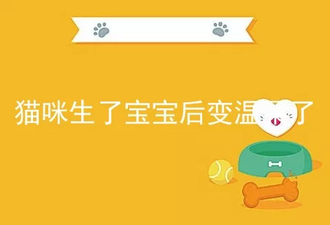 猫咪生了宝宝后变温柔了