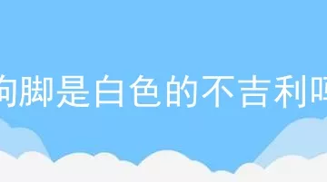 狗脚是白色的不吉利吗