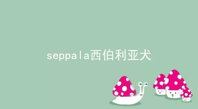 seppala西伯利亚犬