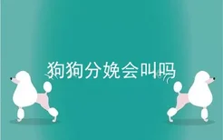 狗狗分娩会叫吗