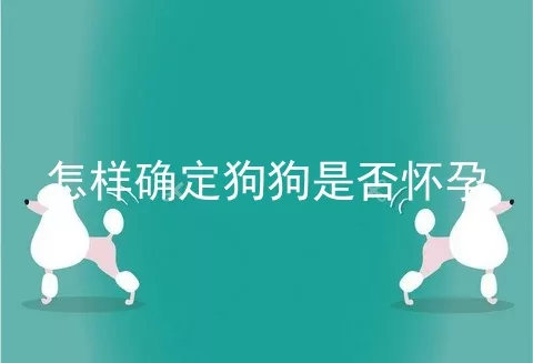 怎样确定狗狗是否怀孕