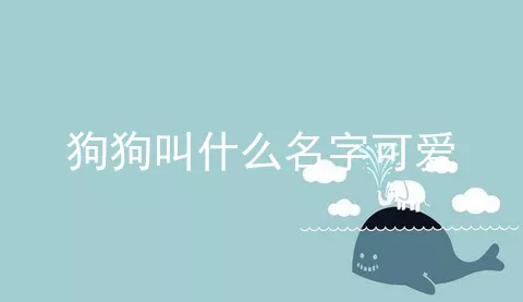 狗狗叫什么名字可爱