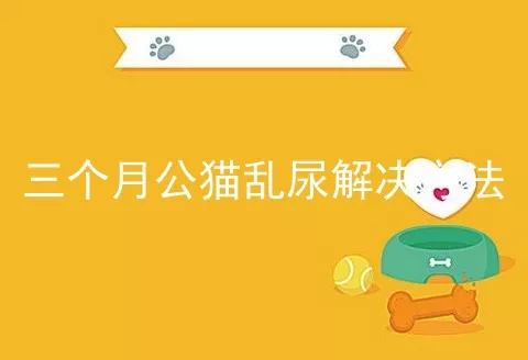 三个月公猫乱尿解决方法