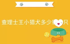 查理士王小猎犬多少钱一只