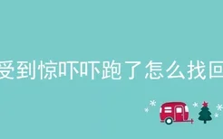 猫受到惊吓吓跑了怎么找回来