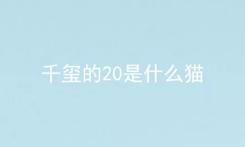 千玺的20是什么猫