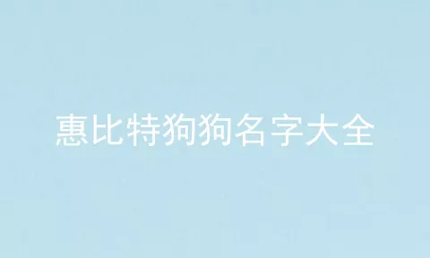 惠比特狗狗名字大全