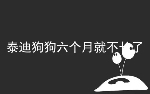 泰迪狗狗六个月就不长了