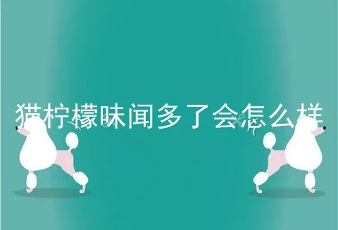 猫柠檬味闻多了会怎么样