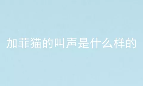 加菲猫的叫声是什么样的