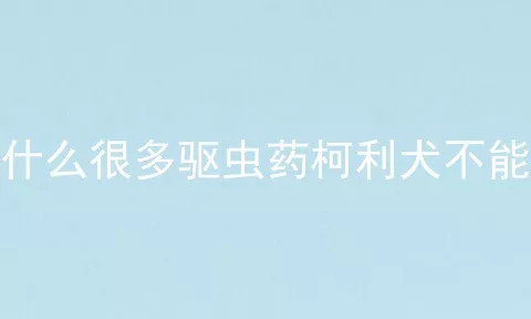 为什么很多驱虫药柯利犬不能用