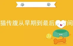 猫传腹从早期到最后的时间