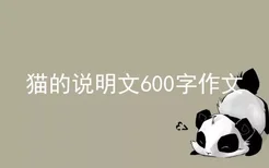 猫的说明文600字作文