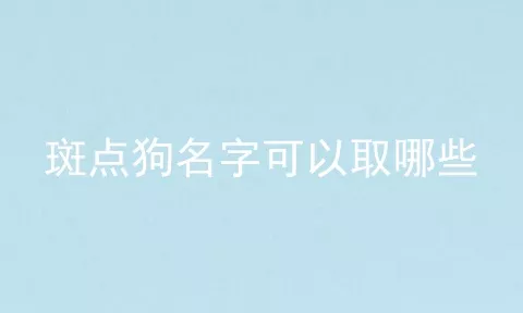 斑点狗名字可以取哪些