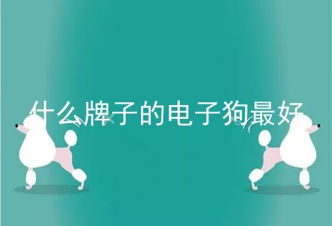 什么牌子的电子狗最好