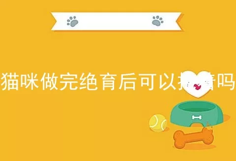 猫咪做完绝育后可以抱着吗